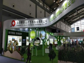 2019西安丝绸之路博览会