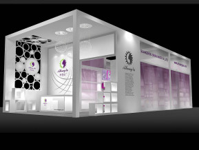 阿皇女展览模型