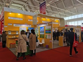 2021.10天津秋糖（二）