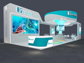 海思haisi