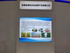 2020的武汉工业设计展(二)