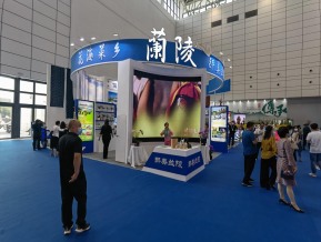 山东文博会(三)
