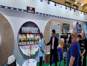 2021中国自主品牌博览会(二)