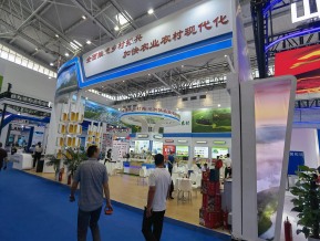 山东文博会(三)
