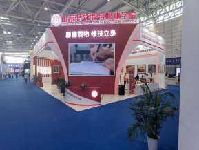 山东文博会(三)