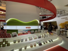 2021中国自主品牌博览会(四)