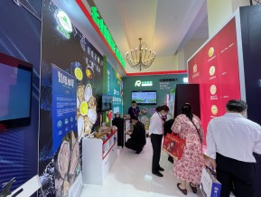 2021中国自主品牌博览会(六)