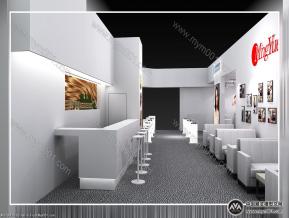明月光学展览模型