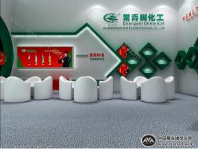 常青树化工展设计方案