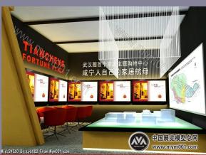 财富中心房展