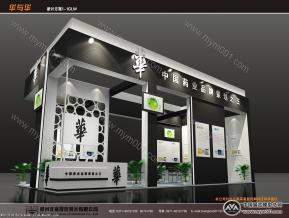 华中国药品