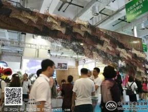 2016文博会照片