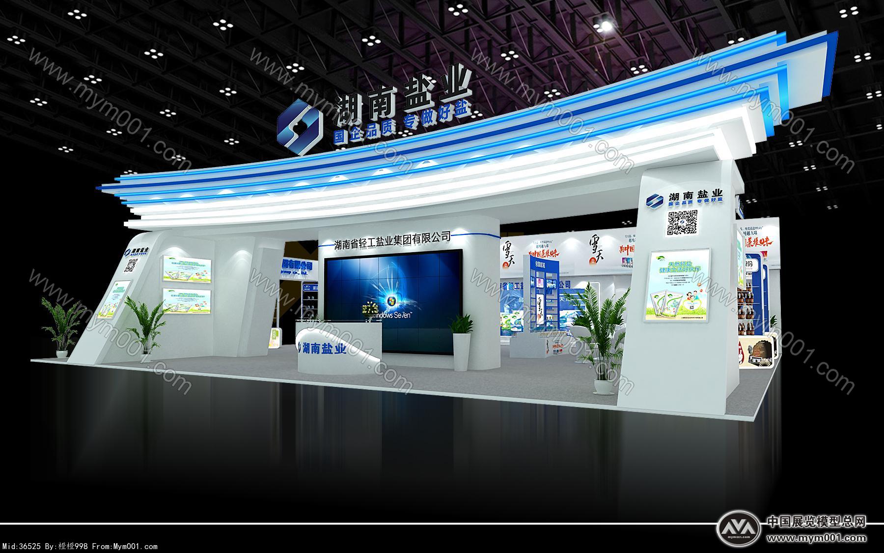 轻工盐业集团展台展示展览
